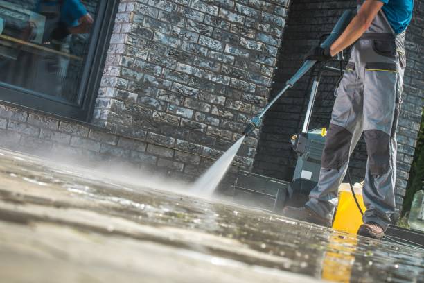 Best Pre-Holiday Cleaning  in Harvey, MI